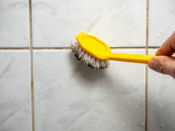 Mold Testing and Removal in Fennimore, WI